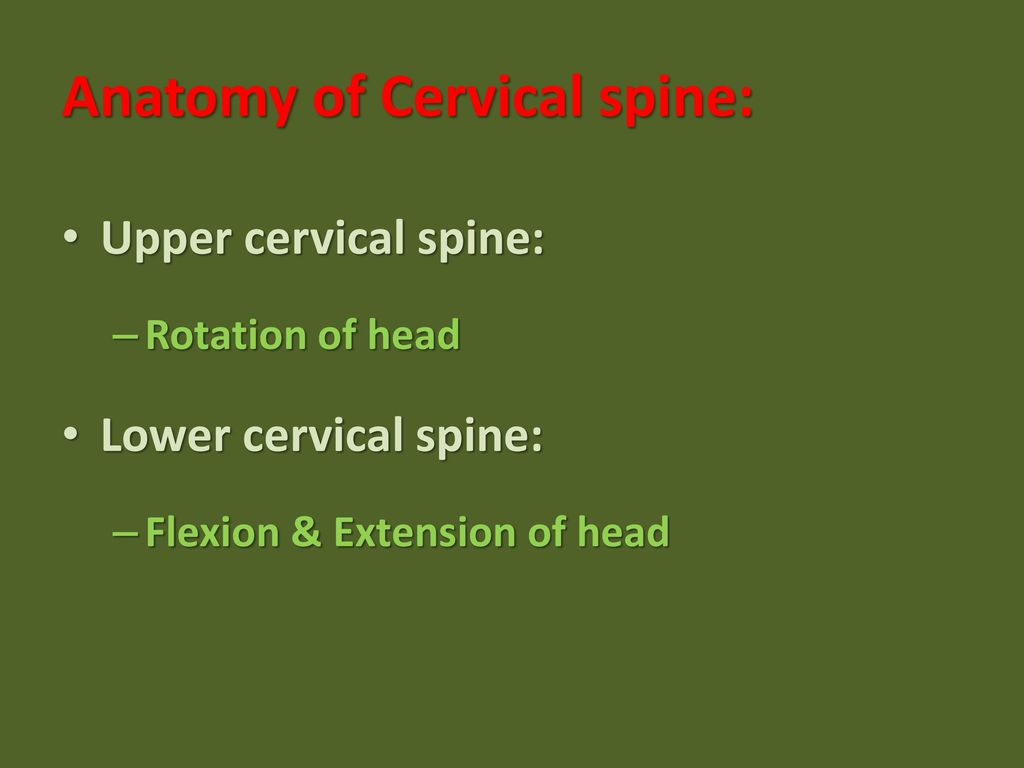 Cervico-brachial neuralgia Anatomy Iraj Salehi-Abari MD - ppt download