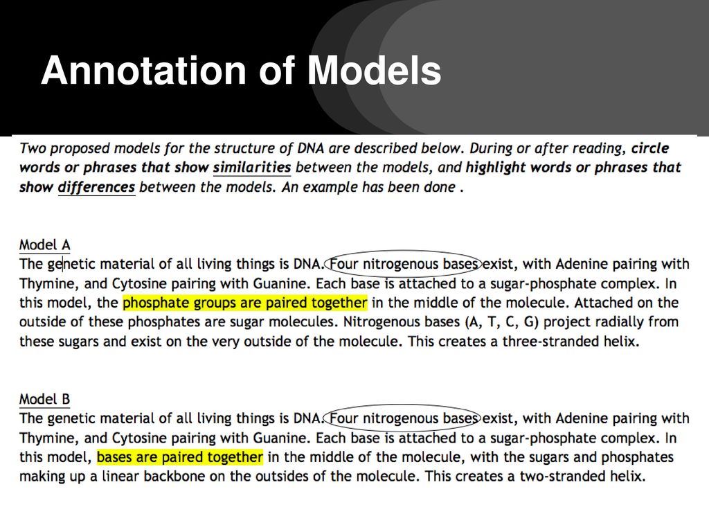 Annotation of Models