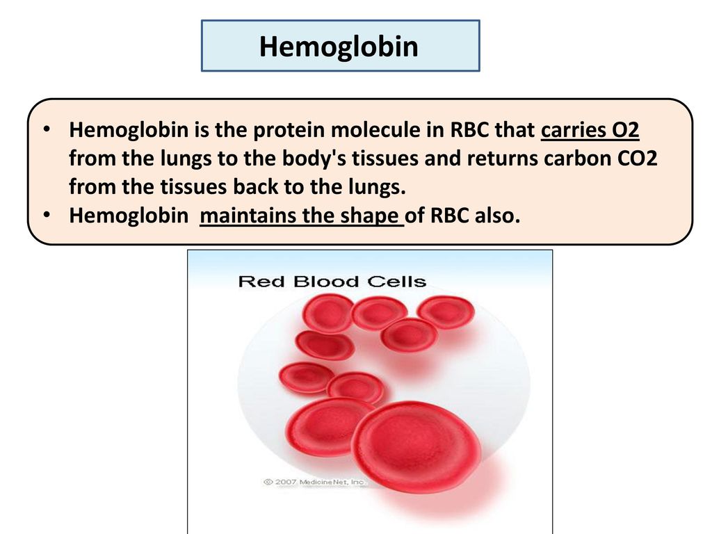 Anemia dr fatma al qahtani head of haematology unit ppt download