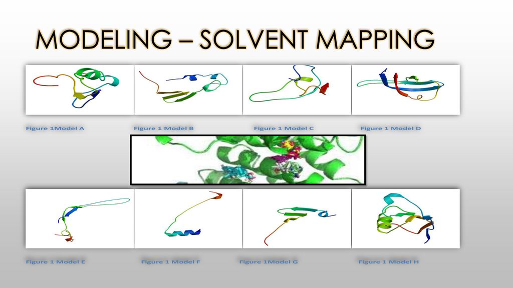 Modeling – Solvent Mapping