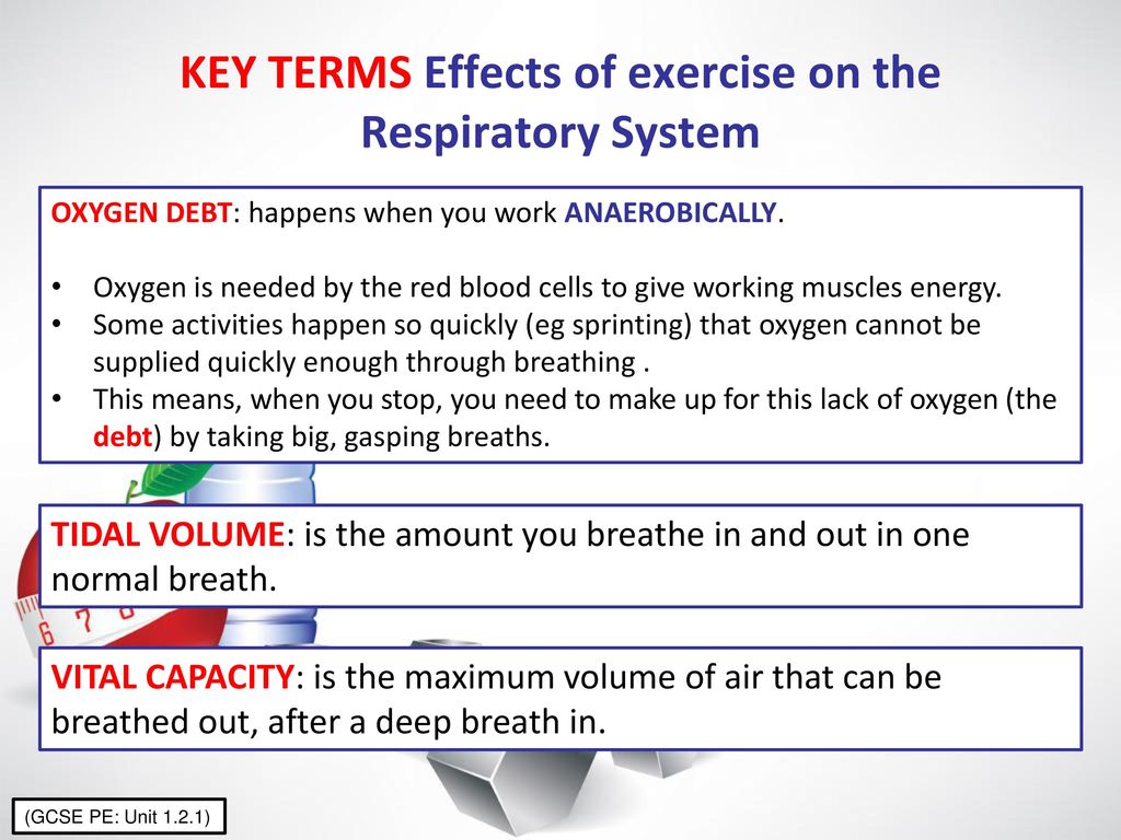 KEY TERMS Effects of exercise on the Respiratory System