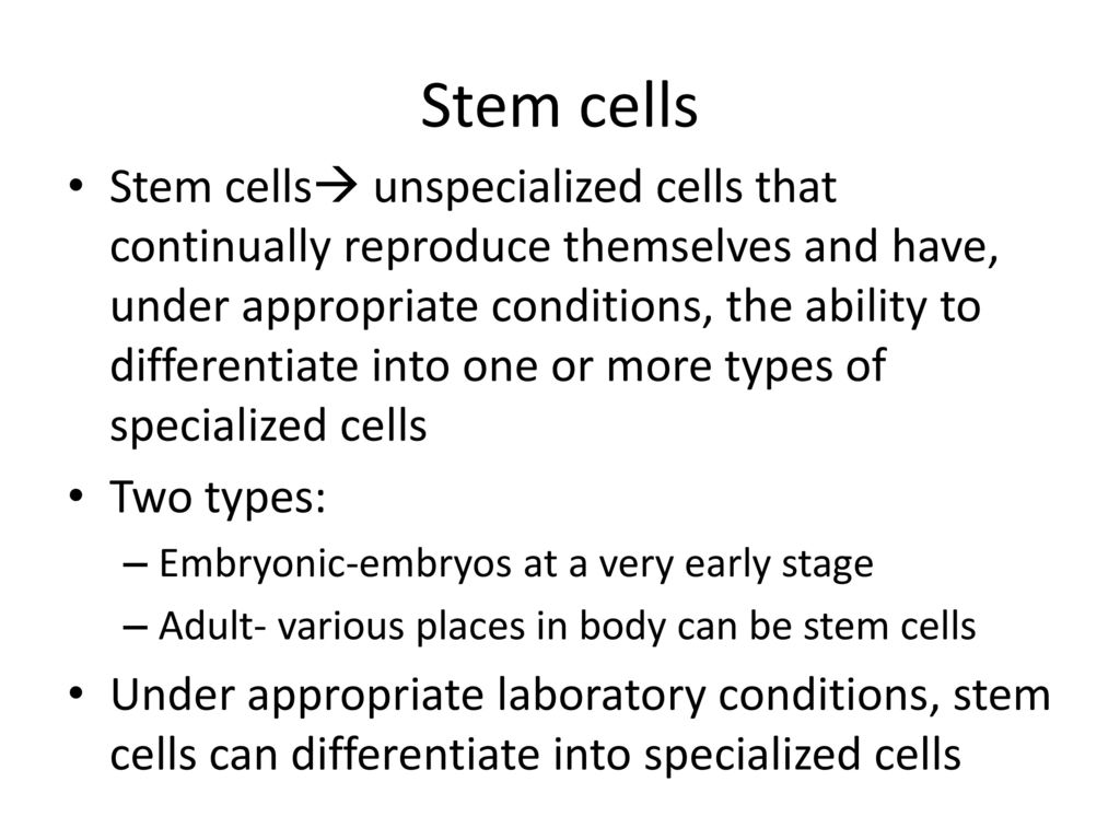 Cell Division and Mitosis - ppt download