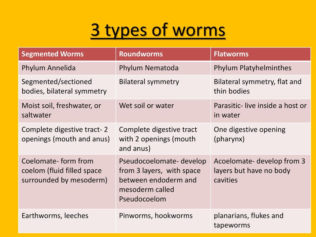 Phylum platyhelminthes nematoda annelida, Diferența dintre nematode și cestode