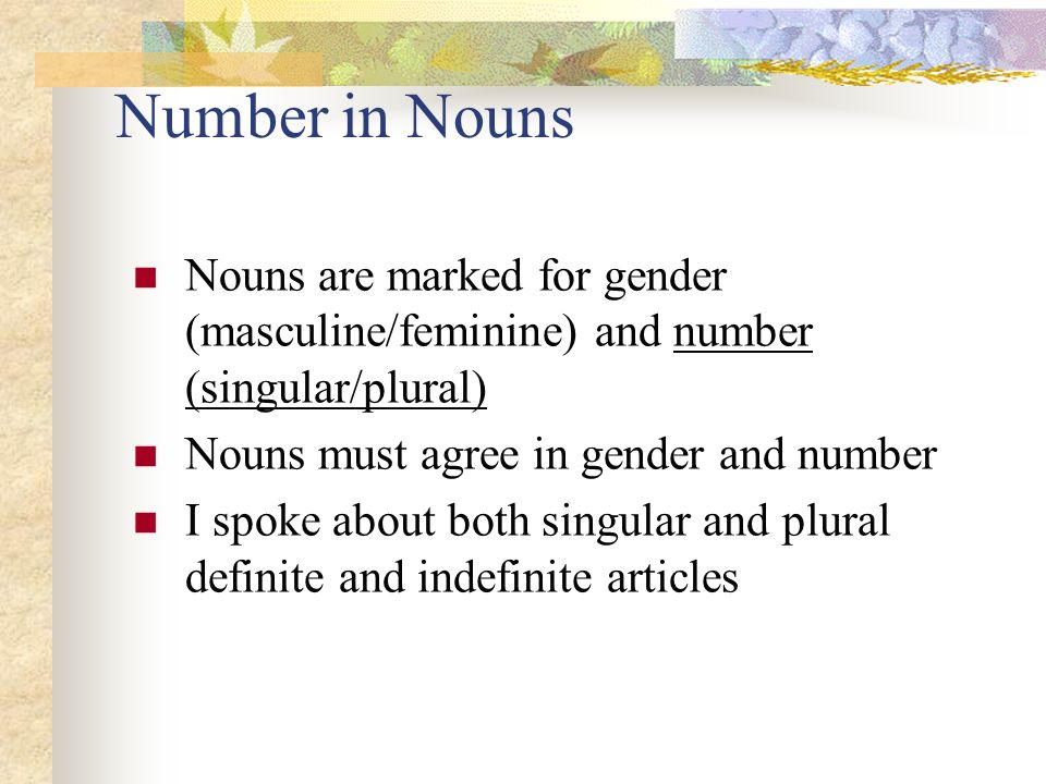 Number in Nouns Nouns are marked for gender (masculine/feminine) and number (singular/plural) Nouns must agree in gender and number.