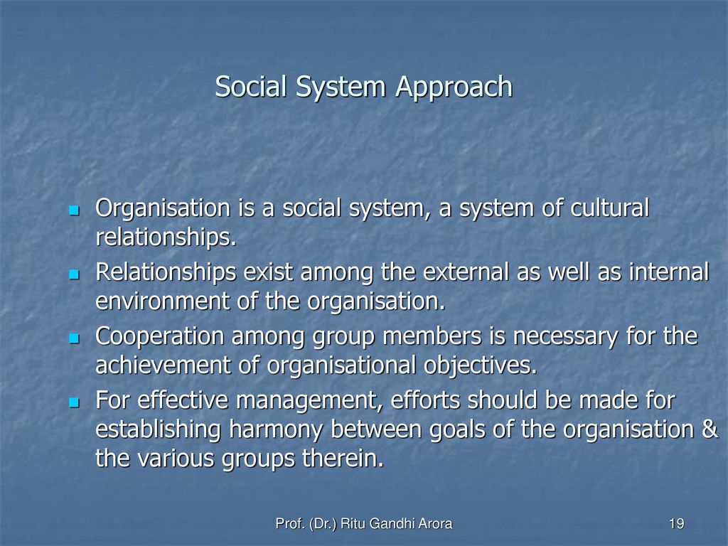 social system approach