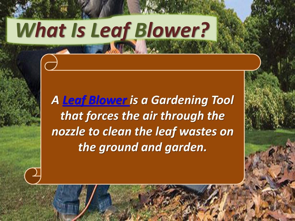 A Guide On Leaf Blower Created By Walkbehindleafblower Org Ppt Download