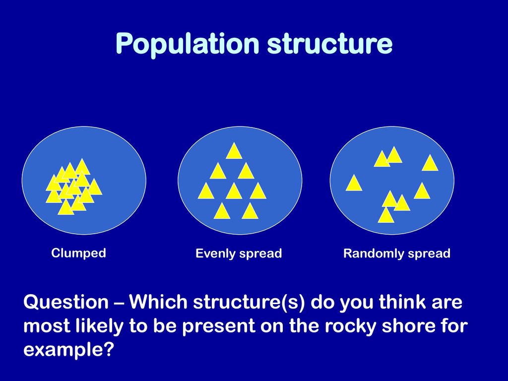 Preparing for Marine Ecology - ppt download