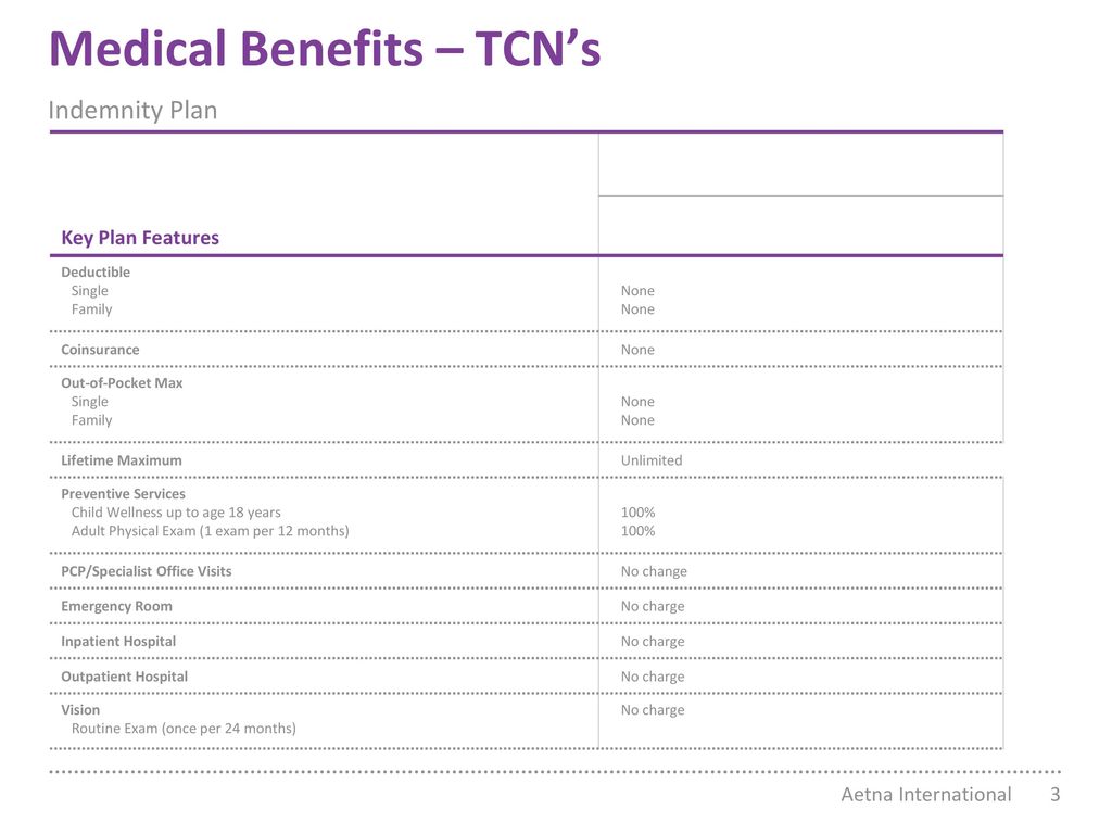 Plan Overview Borg Warner Inc Aetna International Ppt