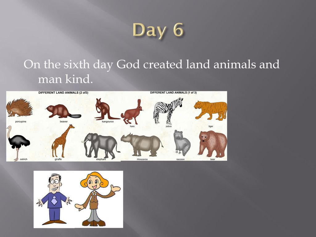 The Creation Story By Molly. - ppt download