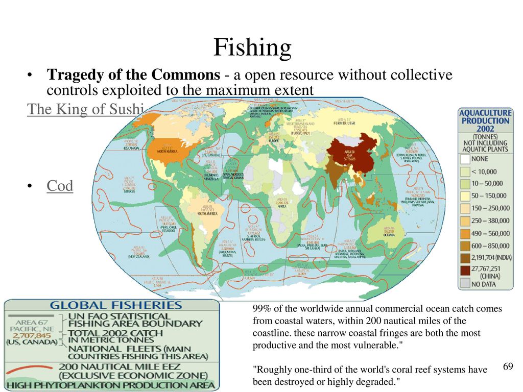 Fishing Tragedy of the Commons - a open resource without collective controls exploited to the maximum extent.