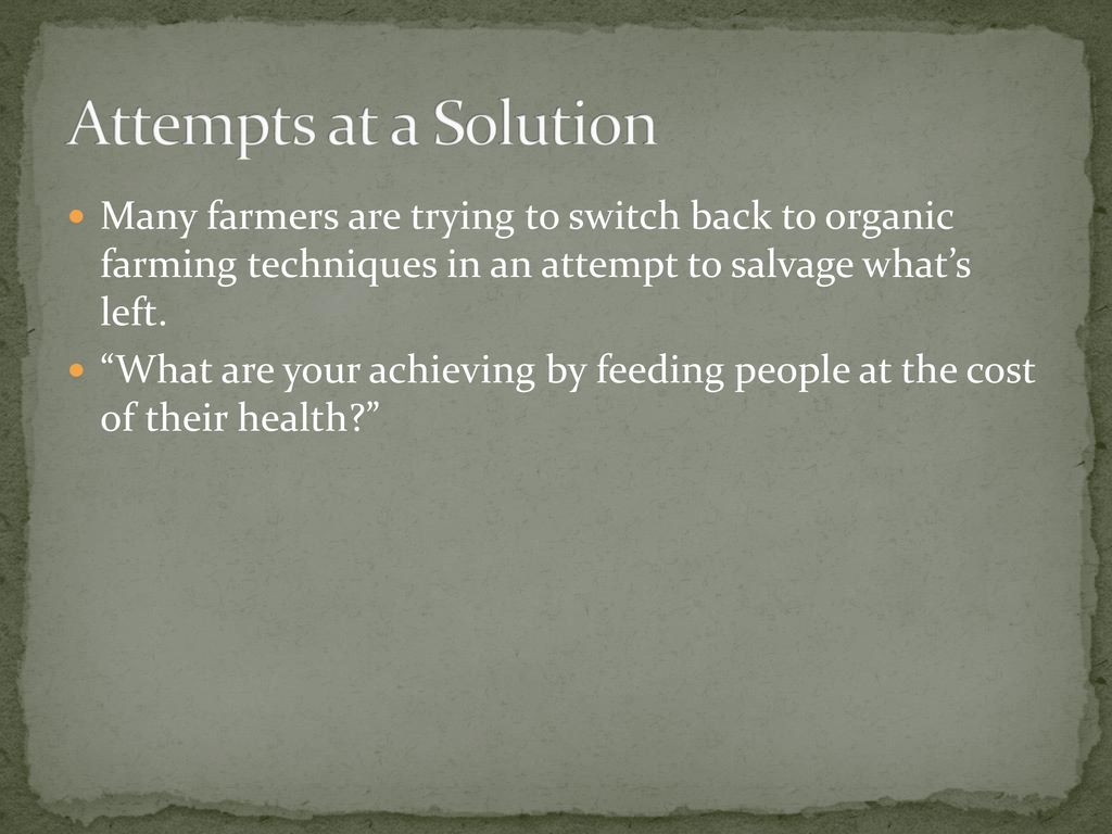 Attempts at a Solution Many farmers are trying to switch back to organic farming techniques in an attempt to salvage what’s left.