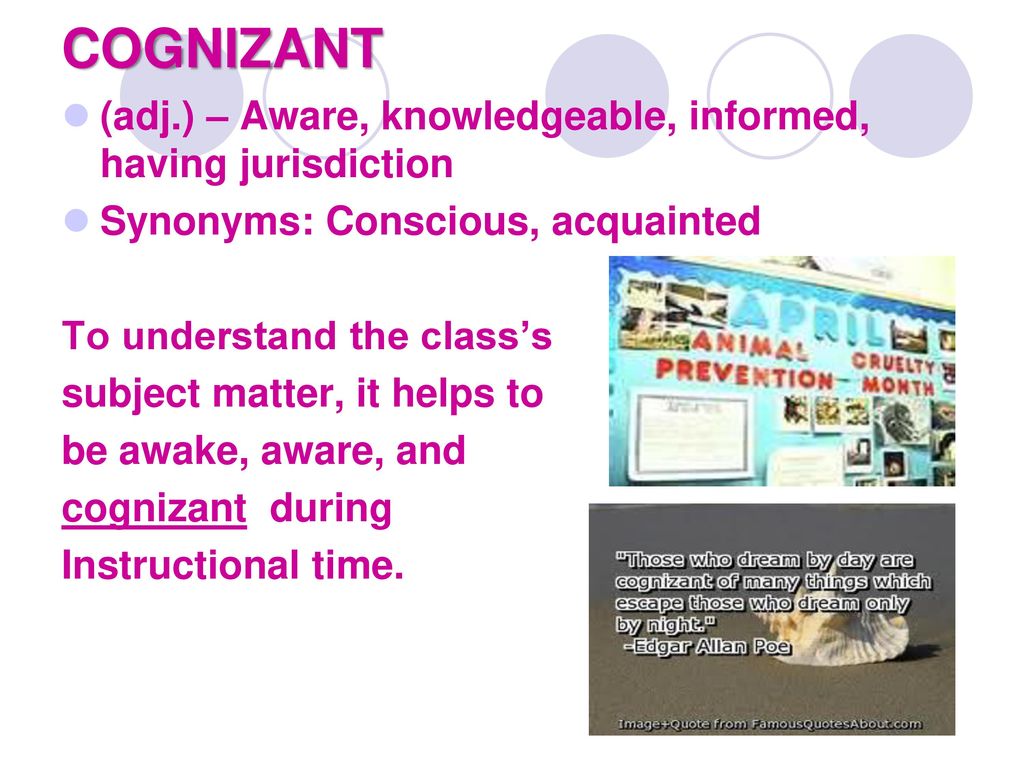 Focus On The Goal Voc Unit 13 Ms B Wulchak Ppt Download