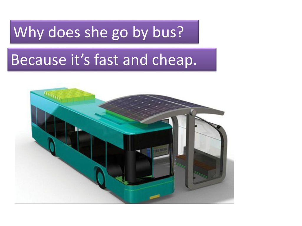 Why does she go by bus Because it’s fast and cheap.