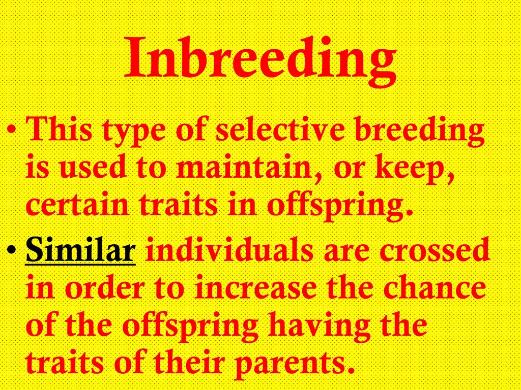 Selective breeding ppt download