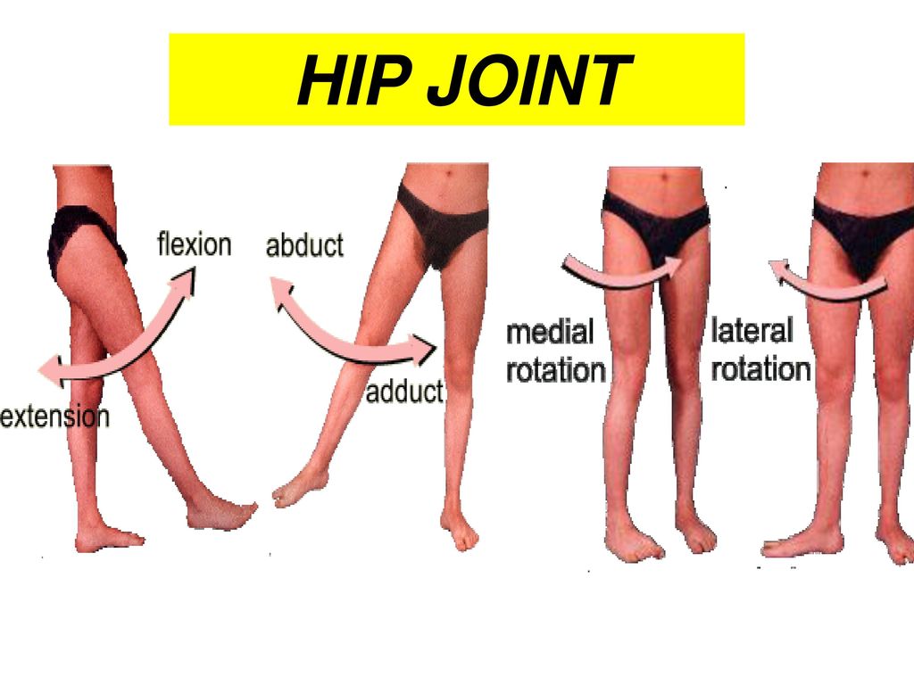 Thigh hip разница
