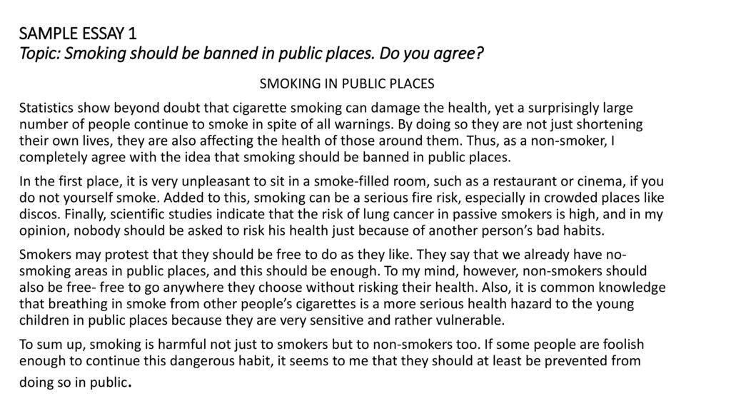 why smoking should not be banned essay