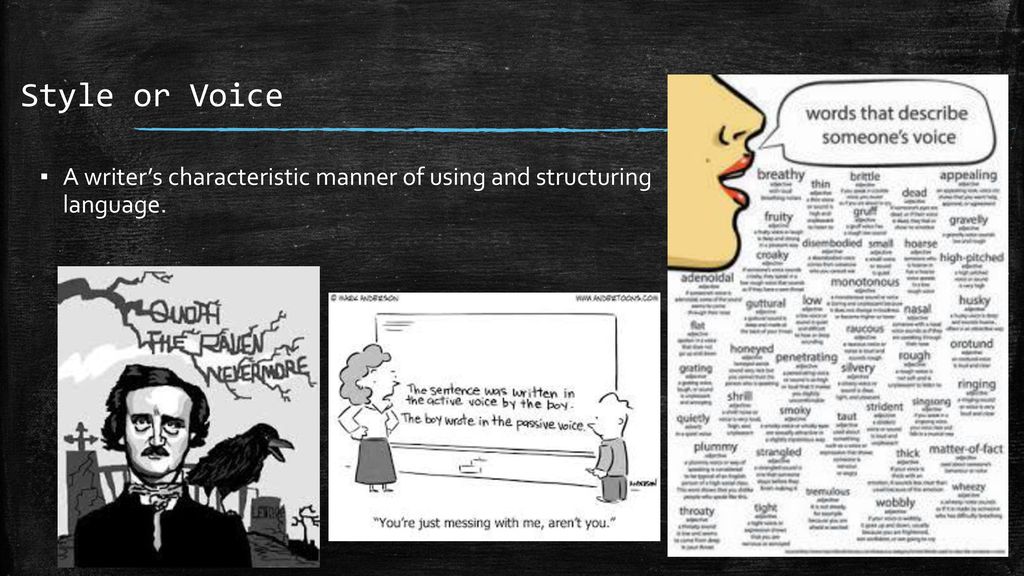 Style or Voice A writer’s characteristic manner of using and structuring language.