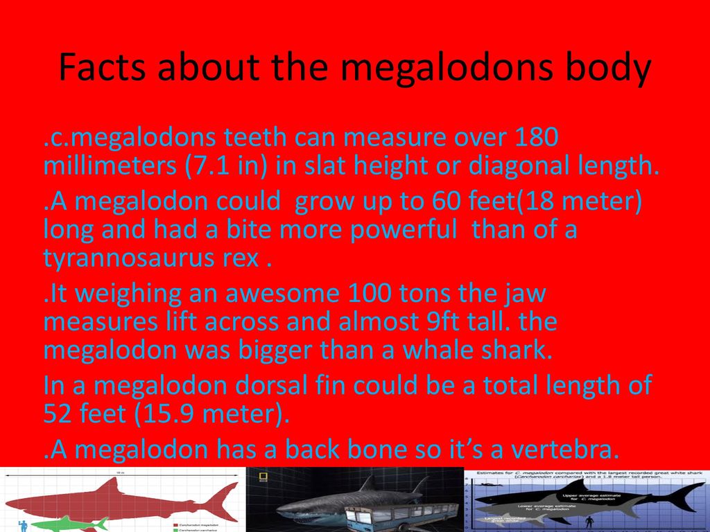 Biodiversity project By Jethrine Tagudin. - ppt download