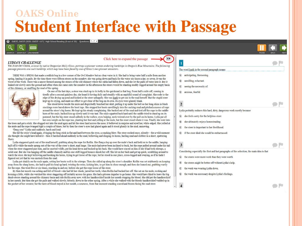 Student Interface with Passage