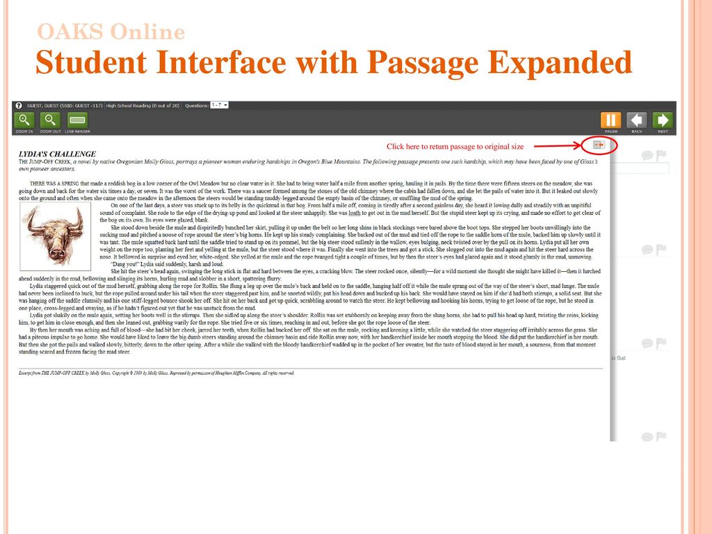 Student Interface with Passage Expanded