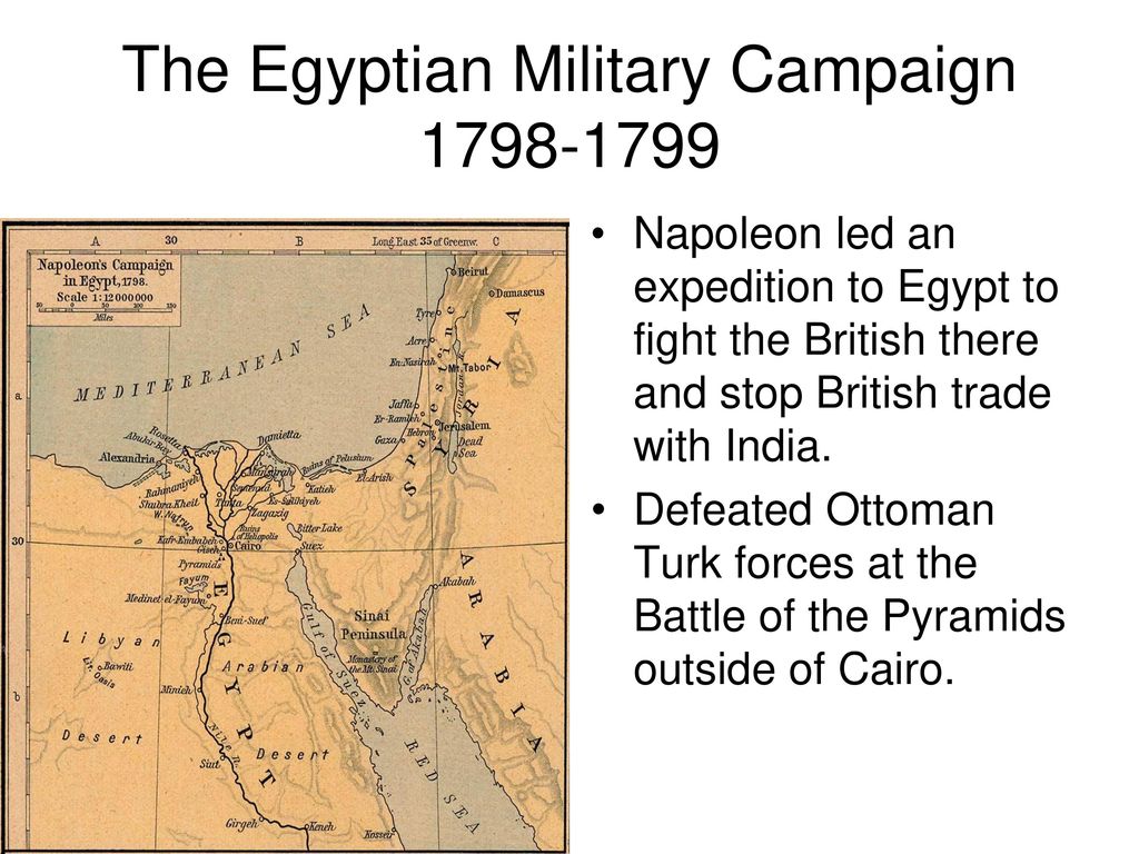 The Egyptian Military Campaign