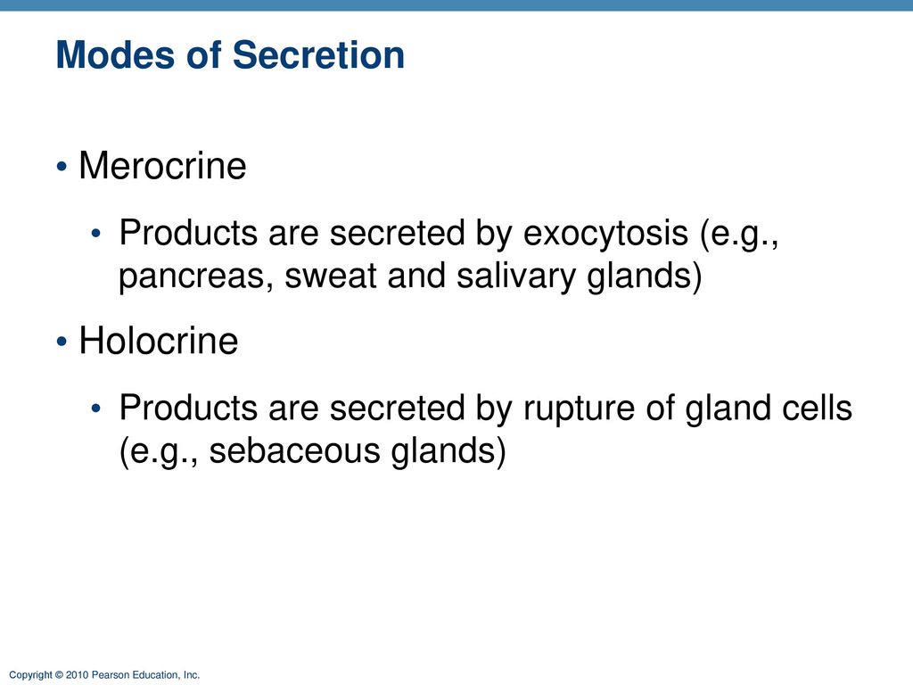 Modes of Secretion Merocrine Holocrine
