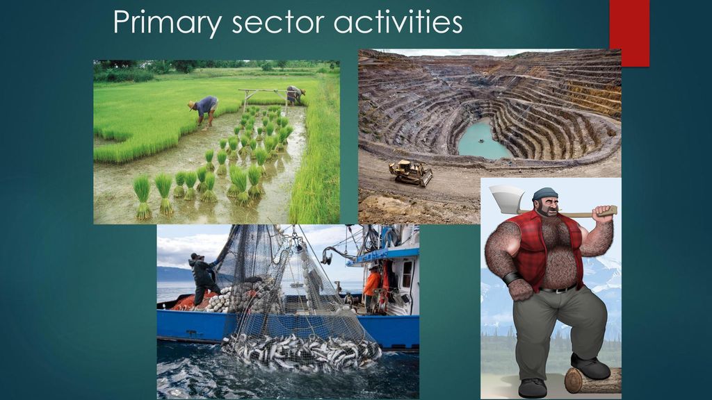 Primary sector activities ppt download