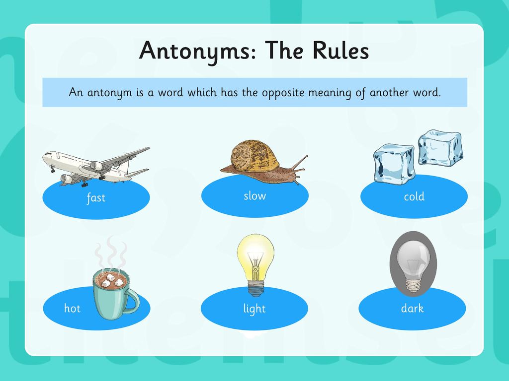 Year 6 Grammar Revision Synonyms Antonyms Ppt Download Opposite word synonyms, opposite word pronunciation, opposite word translation, english dictionary definition of opposite word. year 6 grammar revision synonyms