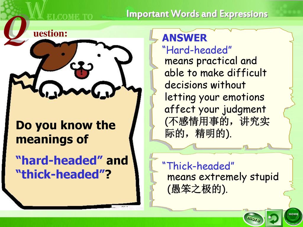 Important Words Expressions Ppt Download