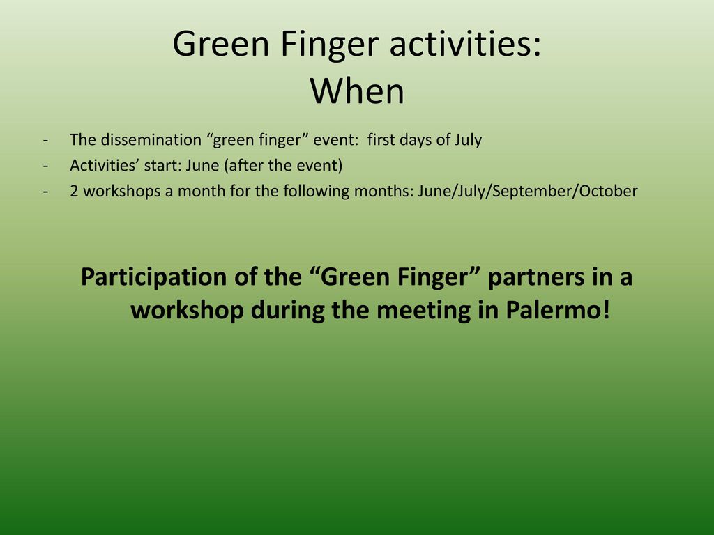 Green Finger Palermo Next steps. - ppt download