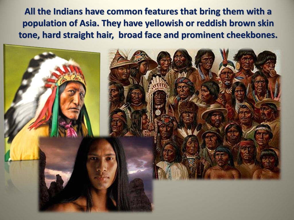 The Indigenous Population Of America Ppt Download