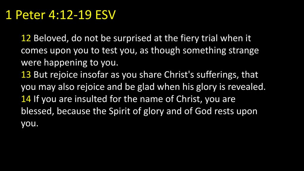 Responding To Suffering Ppt Download responding-to-suffering-ppt-download
