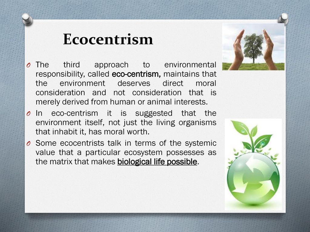 Chapter # 2 Environmental Ethics - ppt download