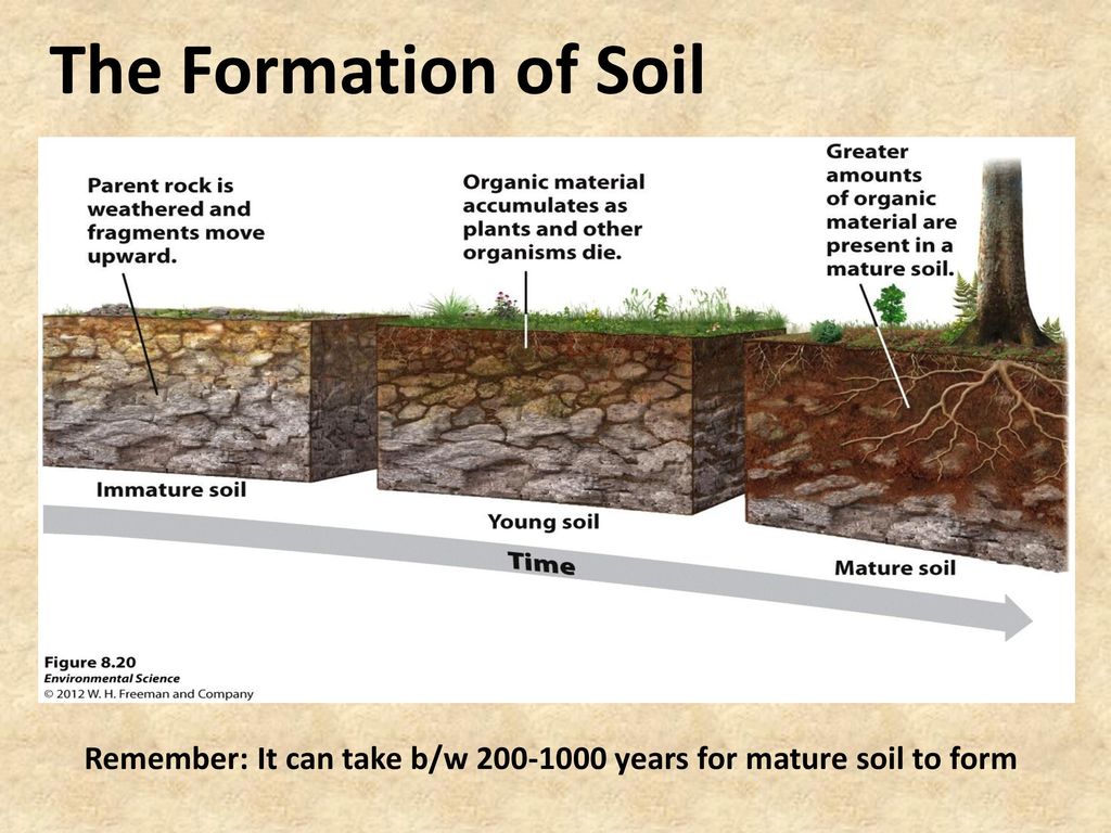 What is removed. Soil formation. Time in Soil formation. Minerals in Soils. Soil study.