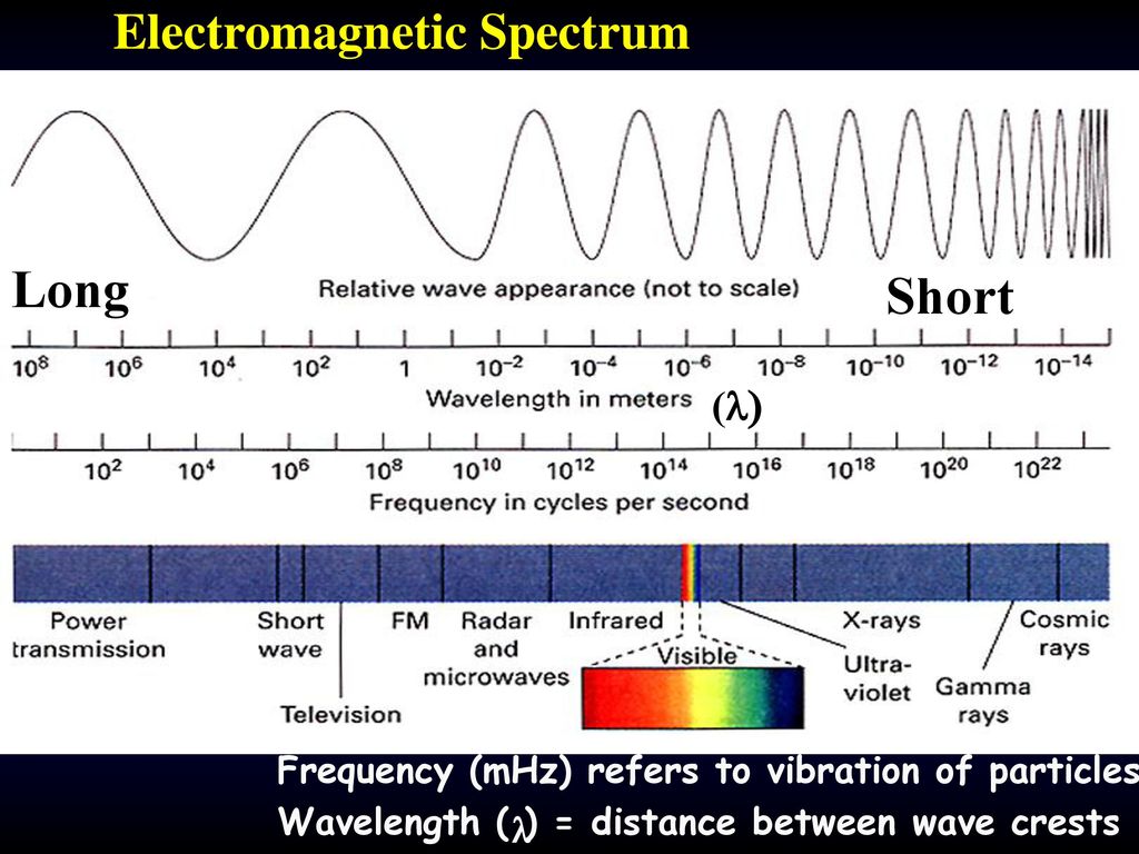 Solar Radiation The Driving Factor Ppt Download