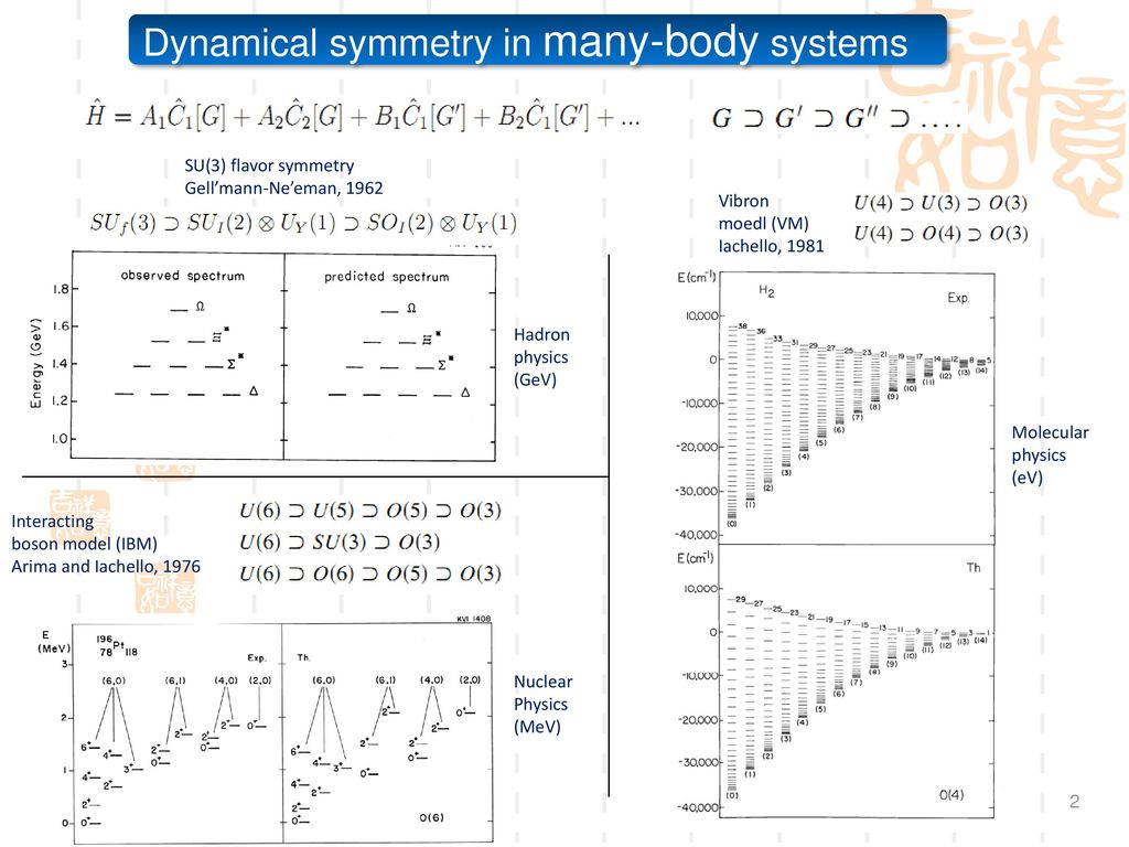 Dynamical symmetry in many-body systems
