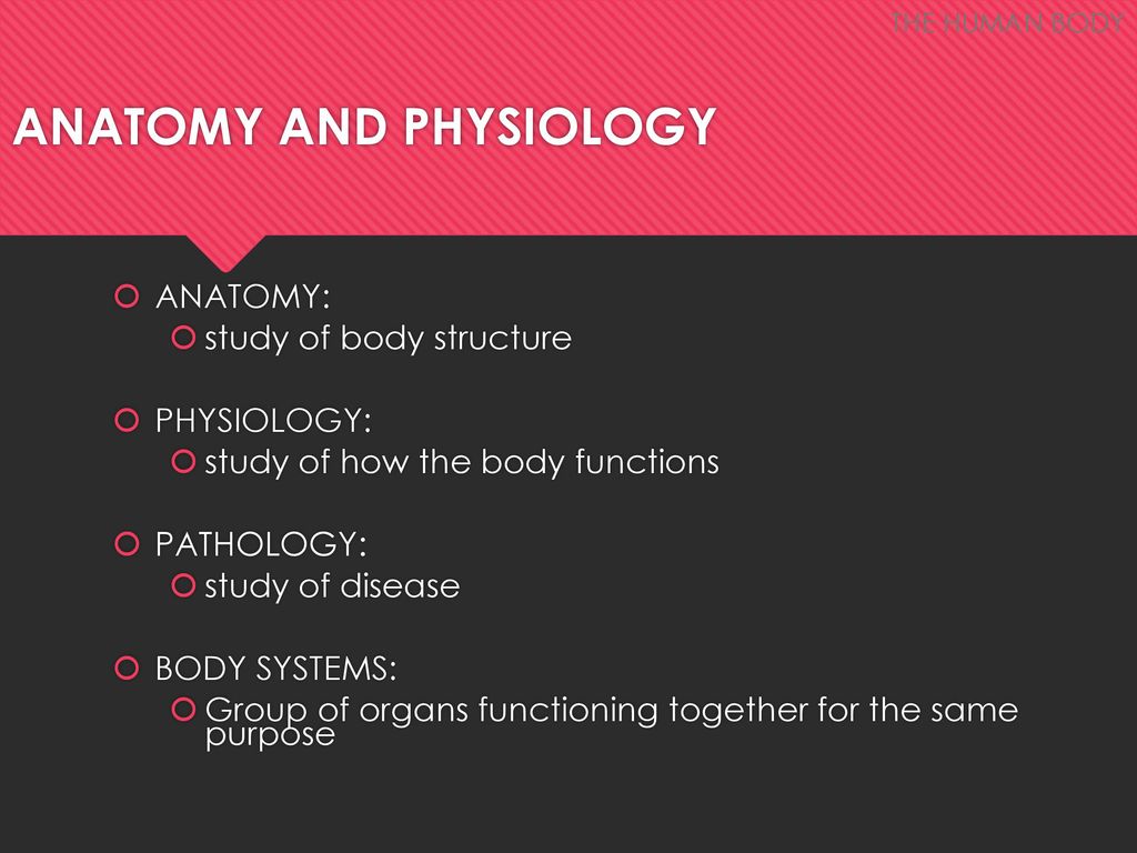 Lesson 3 ORGANIZATION OF THE HUMAN BODY Biology Diagrams