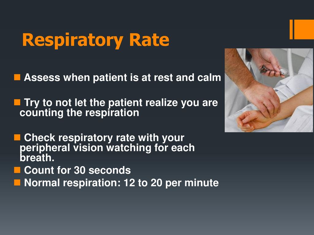 Respiratory Examination Ppt Download