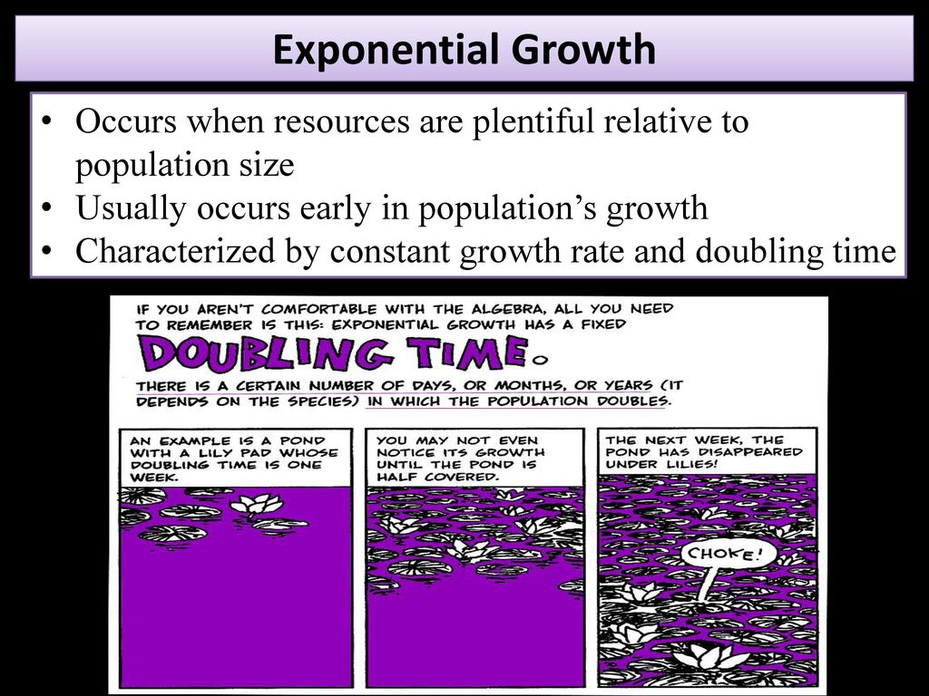 Population dynamics the growth and decline of populations ppt download