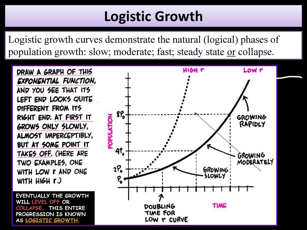 Population dynamics the growth and decline of populations ppt download