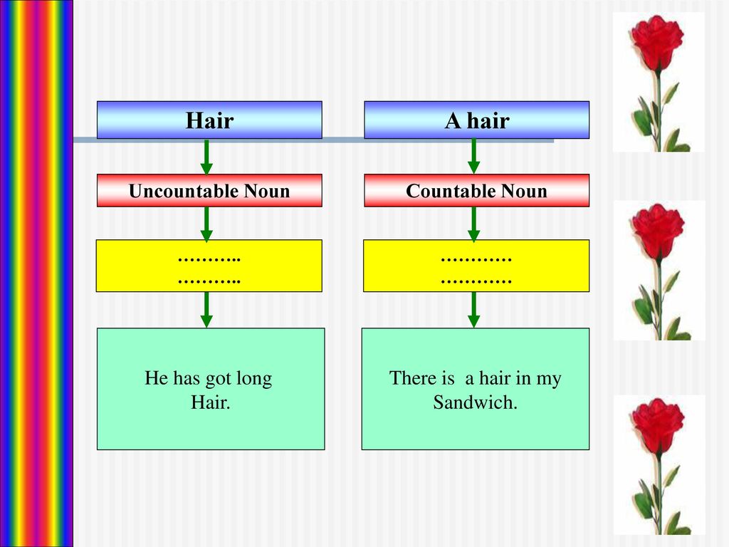 Countable Nouns and Uncountable Nouns - ppt download