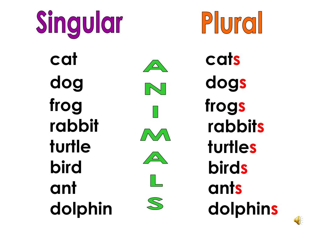 Singular and Plural Nouns. - ppt download
