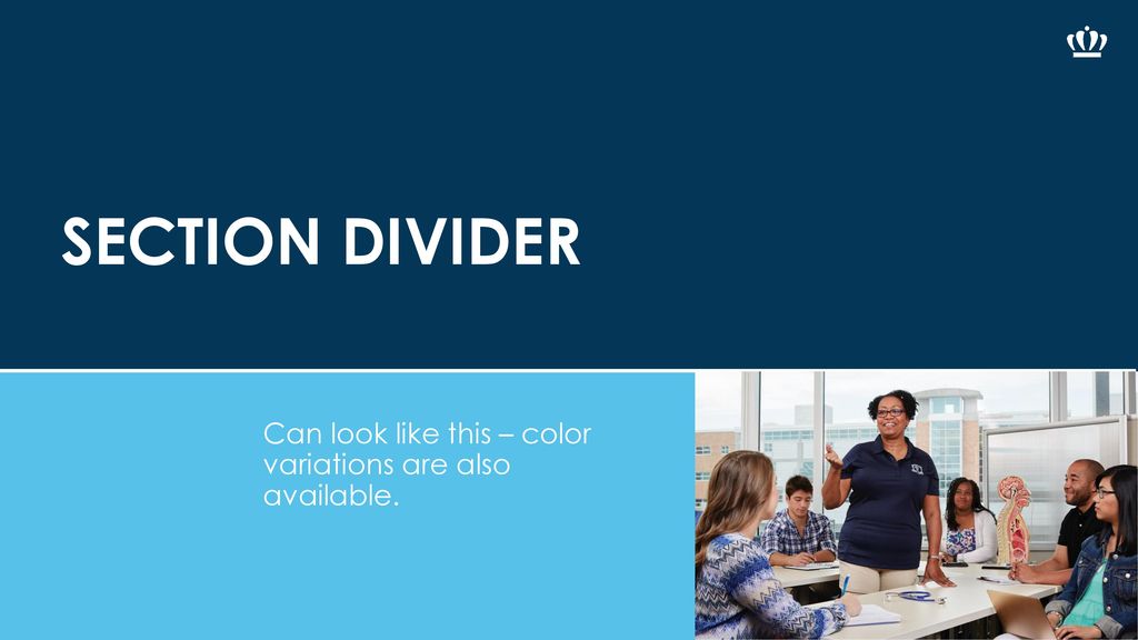 SECTION DIVIDER Can look like this – color variations are also available.