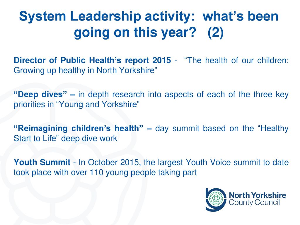 System Leadership activity: what’s been going on this year (2)