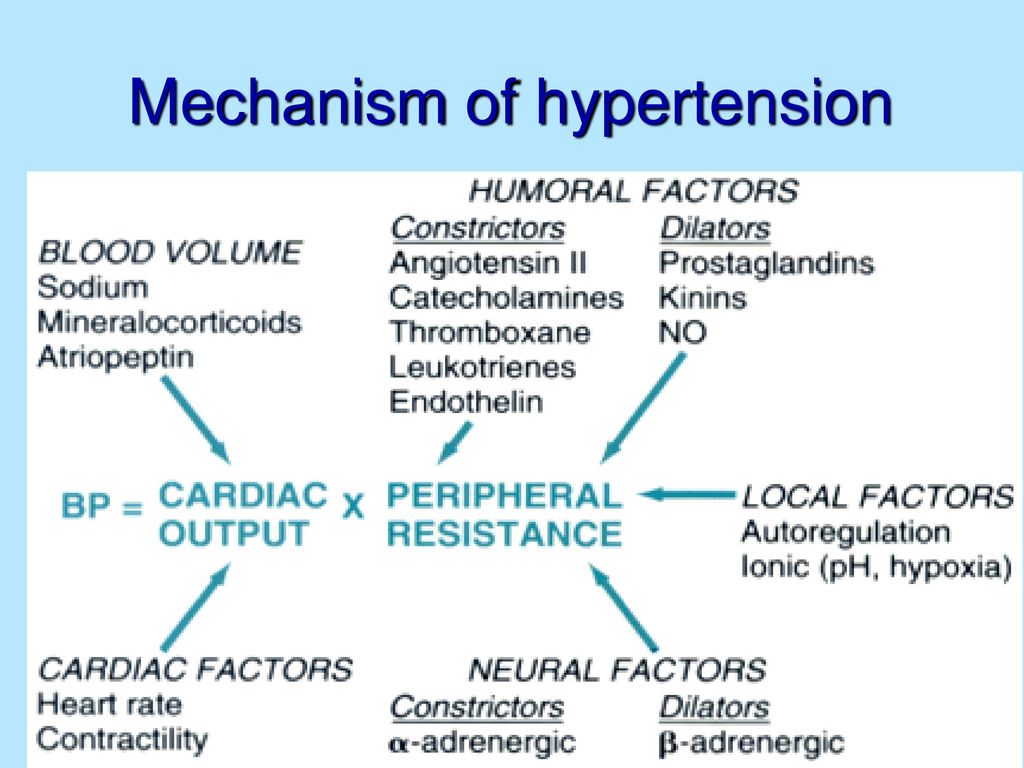 Mechanism of hypertension