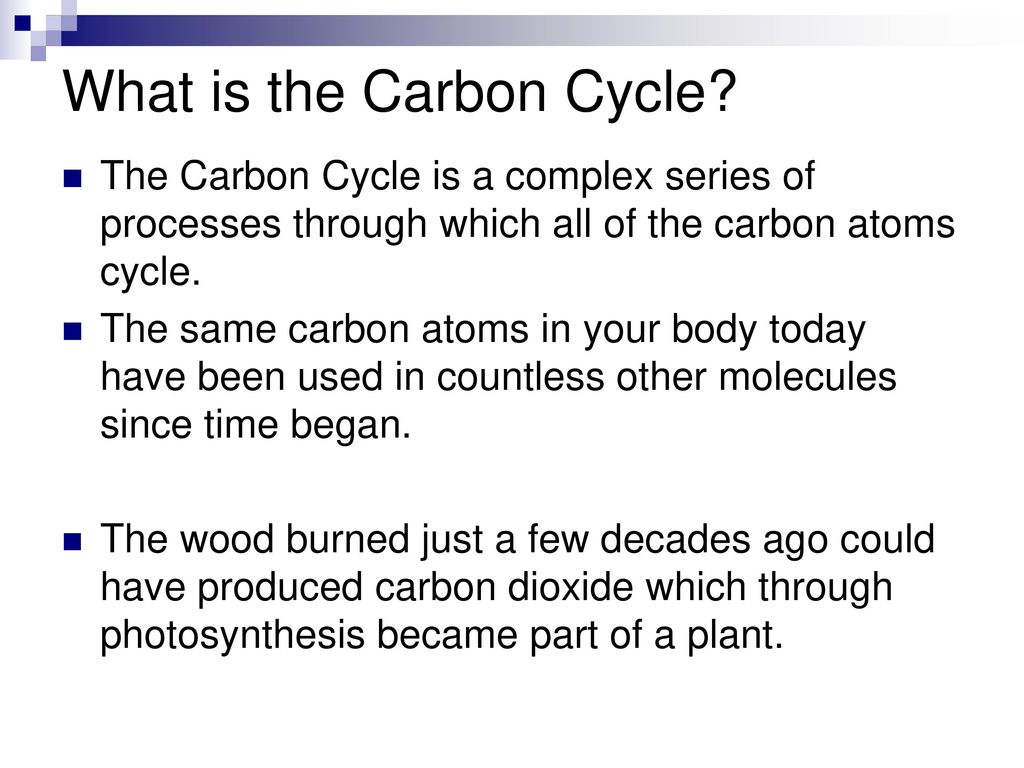 THE CARBON CYCLE. - ppt download