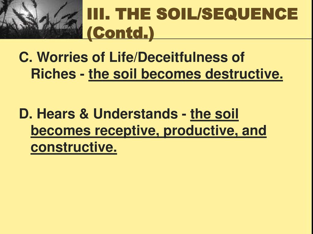 III. THE SOIL/SEQUENCE (Contd.)