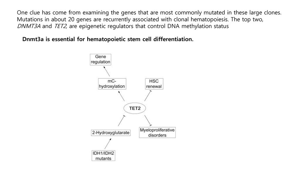 Stem cells and healthy aging ppt download