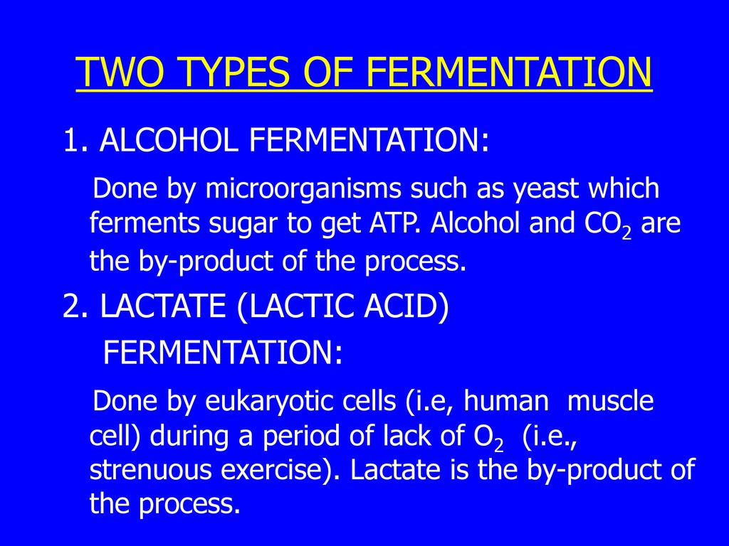 TWO TYPES OF FERMENTATION