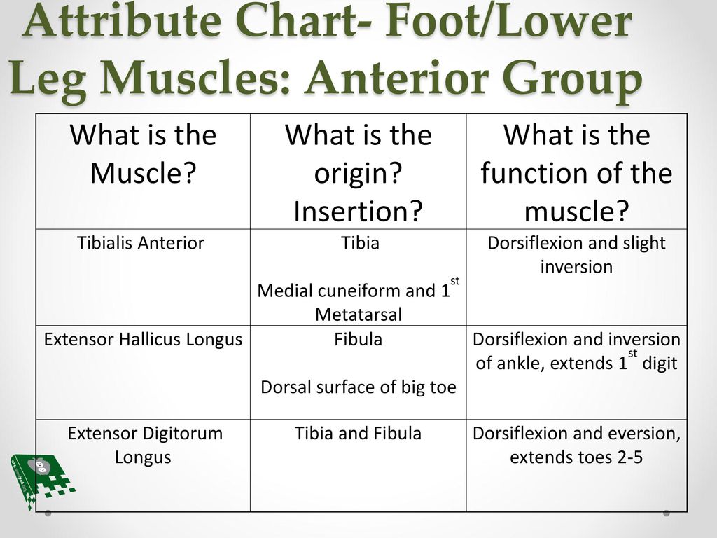 Foot Chart Origin